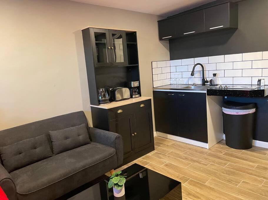 פיניקס New Midtown Modern Studio With Backyard מראה חיצוני תמונה